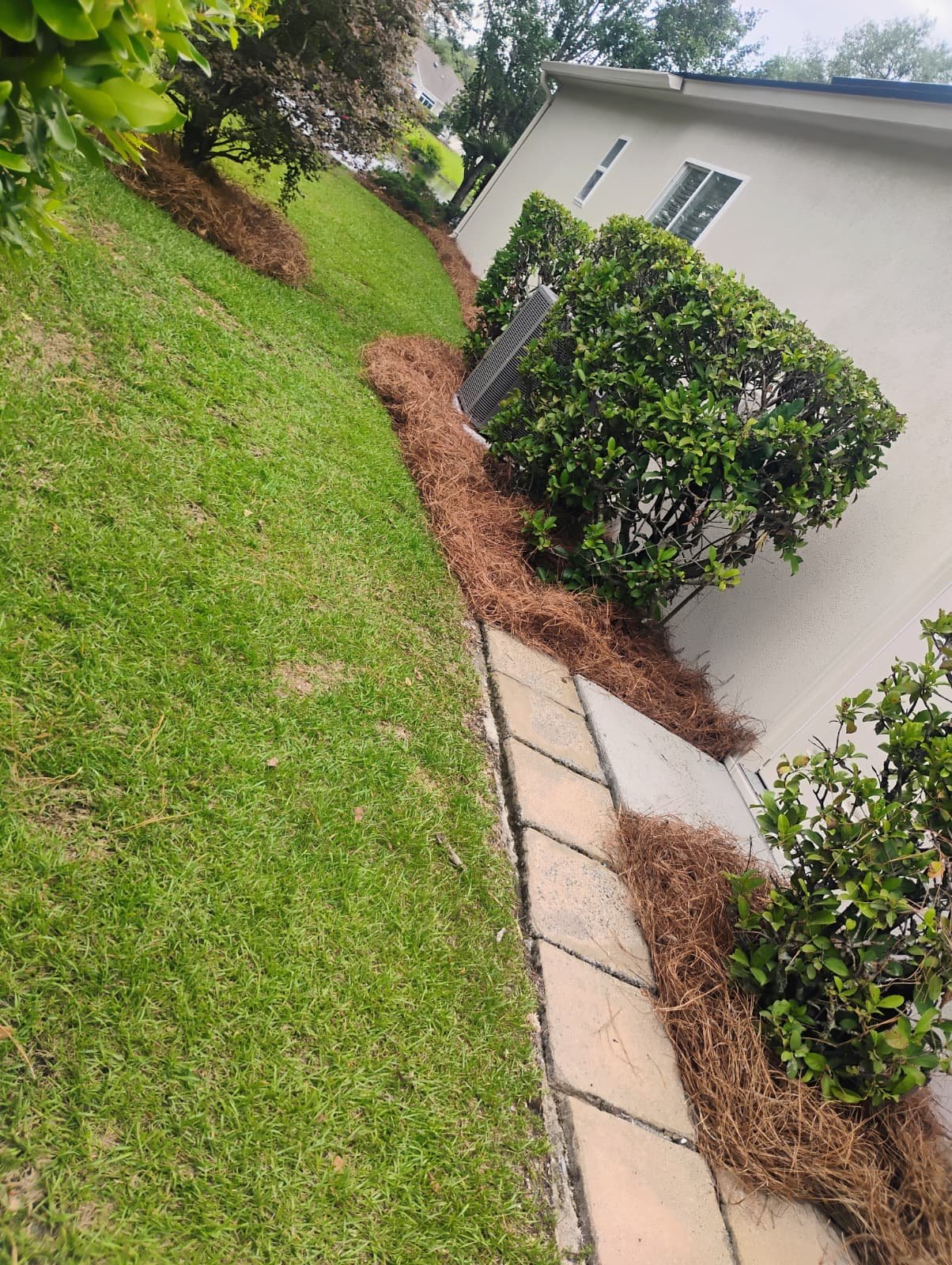 Fresh mulch or pine straw landscaping detail